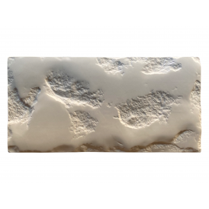 Paver Stone Mold PS 30045, 12" x 6"